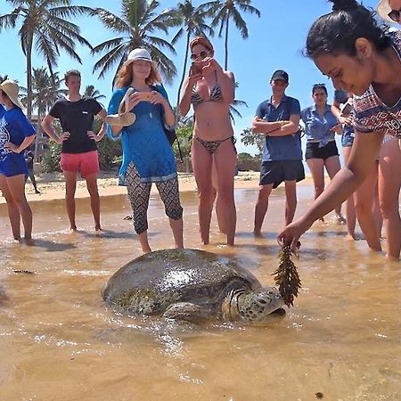 Hotel Turtle Bay Hikkaduwa Zewnętrze zdjęcie