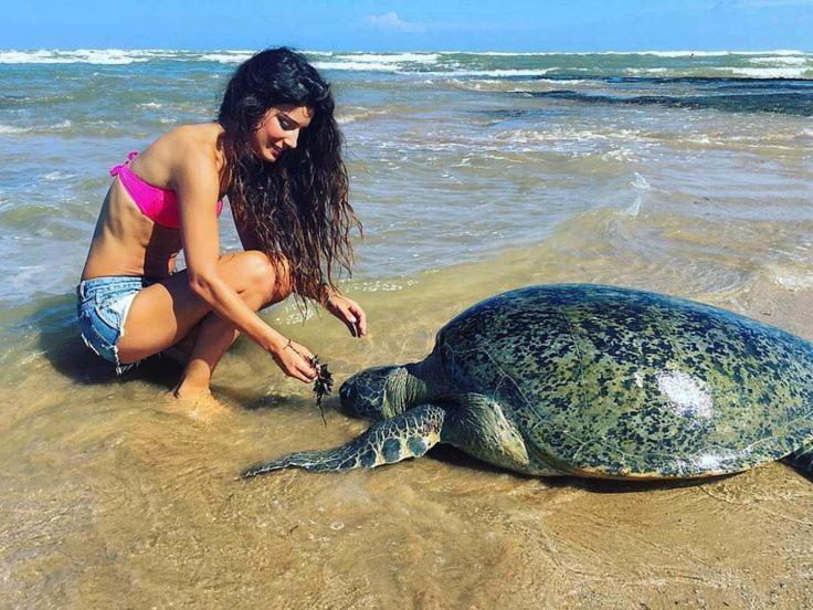 Hotel Turtle Bay Hikkaduwa Zewnętrze zdjęcie